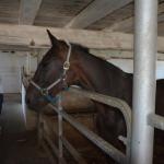 2017OTRA-1_418 (August 24, 2017)